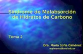 Síndrome de Malabsorción de Hidratos de Carbono Tema 2 Dra. María Sofía Giménez mgimenez@unsl.edu.ar.