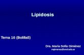 Lipidosis Tema 16 (Bolilla5) Dra. María Sofía Giménez mgimenez@unsl.edu.ar.