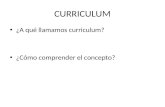 CURRICULUM ¿A qué llamamos curriculum? ¿Cómo comprender el concepto?