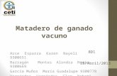 Matadero de ganado vacuno Arce Esparza Karen Nayeli9300651 Barragán Montes Alondra Rocio9300669 García Muños María Guadalupe9300778 Hernández Hernández.