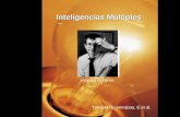 Inteligencias Múltiples Tomado de: Hinojosa, E et al. Howard Gardner.