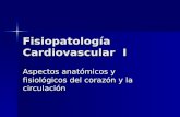 Fisiopatología Cardiovascular I Aspectos anatómicos y fisiológicos del corazón y la circulación.