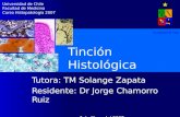 Tinción Histológica Tutora: TM Solange Zapata Residente: Dr Jorge Chamorro Ruiz 3 de Mayo del 2007 Universidad de Chile Facultad de Medicina Curso Histopatología.