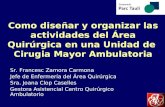 Como diseñar y organizar las actividades del Área Quirúrgica en una Unidad de Cirugia Mayor Ambulatoria Sr. Francesc Zamora Carmona Jefe de Enfermería.