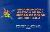 ORGANIZACIÓN Y GESTIÓN DE UNA UNIDAD DE DOLOR AGUDO (U.D.A.) ORGANIZACIÓN Y GESTIÓN DE UNA UNIDAD DE DOLOR AGUDO (U.D.A.) FRANCISCO M. COLLADO COLLADO.
