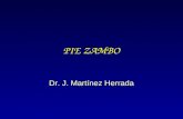 PIE ZAMBO Dr. J. Martínez Herrada. PIE ZAMBO Pie fijo en: –Equino. –Varo. –Adductus de antepié. –Supinación del antepié. –Cavus de la bóveda plantar.