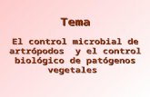 Tema El control microbial de artrópodos y el control biológico de patógenos vegetales.