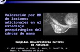Valoración por RM de lesiones adicionales en el estadiaje prequirúrgico del cáncer de mama C. del Camino, A. Díaz, E. Nava, S. Costilla, A. Mesa, R. Menéndez.