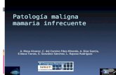 Patología maligna mamaria infrecuente A. Mesa Álvarez, C. del Camino Fdez-Miranda, A. Díaz García, E.Nava Tomás, S. González Sánchez, L. Raposo Rodríguez.
