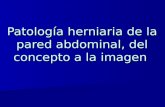 Patología herniaria de la pared abdominal, del concepto a la imagen.