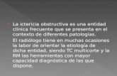 La ictericia obstructiva es una entidad clínica frecuente que se presenta en el contexto de diferentes patologías. El radiólogo tiene en muchas ocasiones.