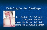 Patología de Esófago Dr. Andrés F. Volio C. Cirujano General Cirujano de Tórax H.S.J.D. Cátedra de Cirugía UCIMED.
