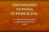 TROMBOSIS VENOSA SUPERFICIAL Dr. Guillermo Guevara Ospino Cirugía Vascular Periférico HSJD.