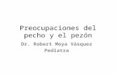 Preocupaciones del pecho y el pezón Dr. Robert Moya Vásquez Pediatra.