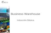 Business Warehouse Inducción Básica. ¿ Qué pretende BW? PROBLEMAS DE NEGOCIO GENERACION DE VALOR TOMA DE DECISIONES ACCIONES OPORTUNIDAD INTEGRIDAD EXACTITUD.