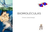 BIOMOLÉCULAS Primero medio Biología. Características de las Biomoléculas Junto con el agua y las sales minerales son compuestos fundamentales de la materia.