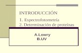 INTRODUCCIÓN 1. Espectrofotometría 2. Determinación de proteínas A.Lowry B.UV.