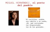 MIGUEL HERNÁNDEZ, el poeta del pueblo En cuclillas, ordeño una cabrita y un sueño… ¡Oh, qué carcajadas tan disparatadas las de las granadas.