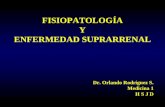 FISIOPATOLOGÍA Y ENFERMEDAD SUPRARRENAL Dr. Orlando Rodríguez S. Medicina 1 H S J D.