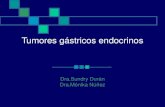 Tumores gástricos endocrinos Dra.Sundry Durán Dra.Mónika Núñez.