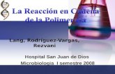 Hospital San Juan de Dios Microbiologia I semestre 2008 Lang, Rodríguez-Vargas, Rezvani.