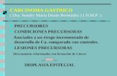 CARCINOMA GASTRICO ( Dra. Sundry María Durán Bermúdez ) ( H.M.P. ) PRECURSORES CONDICIONES PRECURSORAS Asociados a un riesgo incrementado de desarrollo.