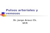 Pulsos arteriales y venosos Dr. Jorge Arauz Ch. UCR.