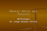 Manejo Renal del Potasio Nefrología Dr Jorge Brenes Dittel.