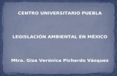 CENTRO UNIVERSITARIO PUEBLA LEGISLACIÓN AMBIENTAL EN MÉXICO Mtra. Giza Verónica Pichardo Vázquez.