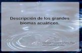 Descripción de los grandes biomas acuáticos. Asignatura: Ciencias de la Tierra, 2ºBch. Ana Carmen Martí Rumbau.
