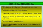 QUIMICA BIOLOGICA Moléculas Biológicas - Estructura química Interacciones entre moléculas Síntesis y degradación celular de las moléculas Conservación.