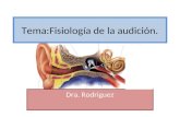 Tema:Fisiología de la audición. Dra. Rodriguez. Oído externo Es una estructura que colecta el sonido y aumenta la sensitividad total auditiva. Ayuda a.