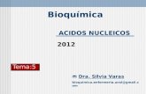 ACIDOS NUCLEICOS Bioquímica Dra. Silvia Varas bioquimica.enfermeria.unsl@gmail.com Tema:5 2012.