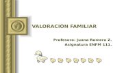 VALORACIÓN FAMILIAR Profesora: Juana Romero Z. Asignatura ENFM 111.