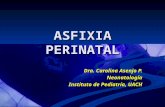 ASFIXIA PERINATAL Dra. Carolina Asenjo P. Neonatología Instituto de Pediatría, UACH.
