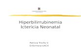 Hiperbilirrubinemia Ictericia Neonatal Patricia Triviño V. Enfermera-UACH.