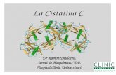 La Cistatina C Dr Ramon Deulofeu. Servei de Bioquímica.CDB. Hospital Clínic Universitari.