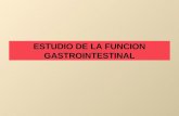 ESTUDIO DE LA FUNCION GASTROINTESTINAL. Anatomía tracto gastrointestinal.