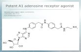 Potent A1 adenosine receptor agonist Adenosine amine congener ADAC CAS 96760-69-9, C28H32N8O6 MW 576.60 Purity: 98 %Biological Activity: