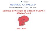 MINISTERIO DE SALUD Servicio de Cirugía de Cabeza, Cuello y Máxilo-Facial DEPARTAMENTO DE CIRUGIA 2001- 2008 HOSPITAL LA CALETA.