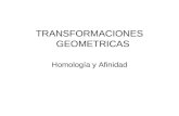 TRANSFORMACIONES GEOMETRICAS Homología y Afinidad.