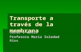 Transporte a través de la membrana Curso I medio Profesora María Soledad Ríos.