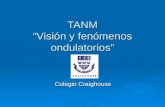 TANM Visión y fenómenos ondulatorios Colegio Craighouse.