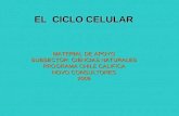 EL CICLO CELULAR MATERIAL DE APOYO SUBSECTOR: CIENCIAS NATURALES PROGRAMA CHILE CALIFICA NOVO CONSULTORES 2009.