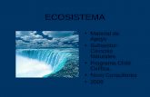 ECOSISTEMA Material de Apoyo Subsector: Ciencias Naturales Programa Chile Califica. Novo Consultores 2009.
