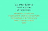 La Prehistoria Parte Primera El Paleolítico. MATERIAL DE APOYO SUBSECTOR: CIENCIAS SOCIALES PROGRAMA CHILE CALIFICA NOVO CONSULTORES 2009.
