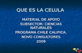 QUE ES LA CELULA MATERIAL DE APOYO SUBSECTOR: CIENCIAS NATURALES PROGRAMA CHILE CALIFICA. NOVO CONSULTORES 2009.