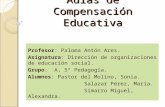 Aulas de Compensación Educativa Profesor: Paloma Antón Ares. Asignatura: Dirección de organizaciones de educación social. Grupo: A, 5º Pedagogía. Alumnos: