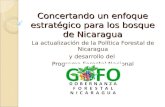 Concertando un enfoque estratégico para los bosque de Nicaragua La actualización de la Política Forestal de Nicaragua y desarrollo del Programa Forestal.