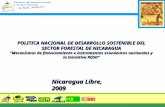 1 POLITICA NACIONAL DE DESARROLLO SOSTENIBLE DEL SECTOR FORESTAL DE NICARAGUA Mecanismos de financiamiento e instrumentos económicos nacionales y la Iniciativa.